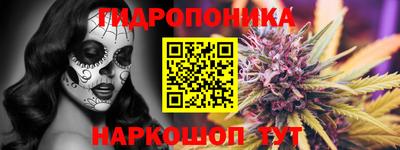 мет Кингисепп