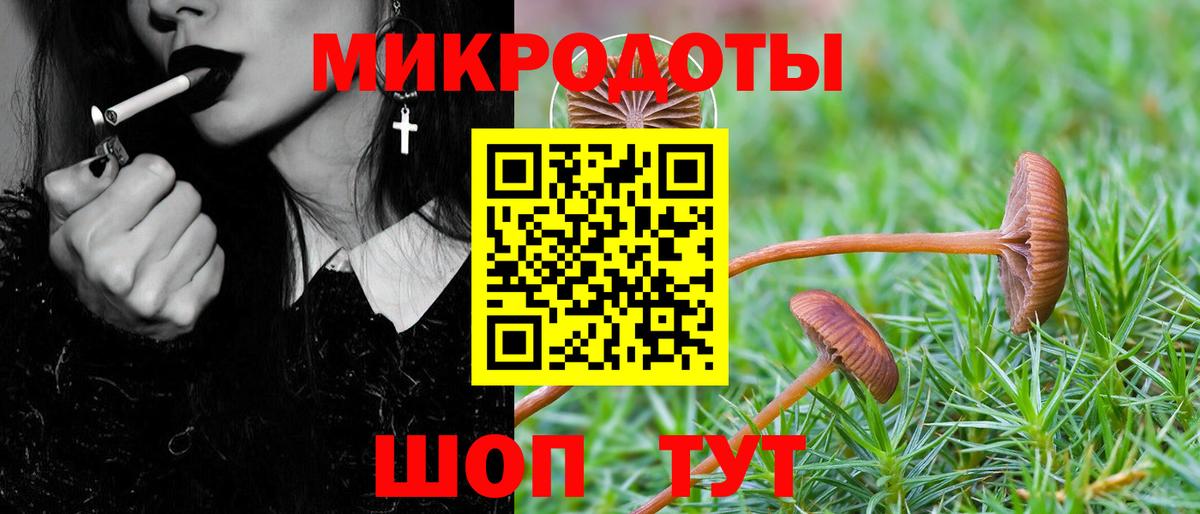 Красноармейск  Псилоцибиновые грибы ЛСД  Вход с VPN 